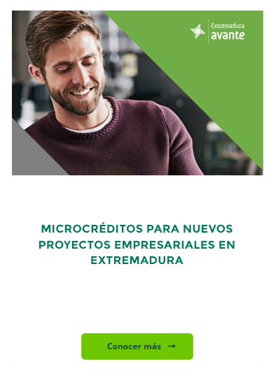 MICRO PROYECTOS